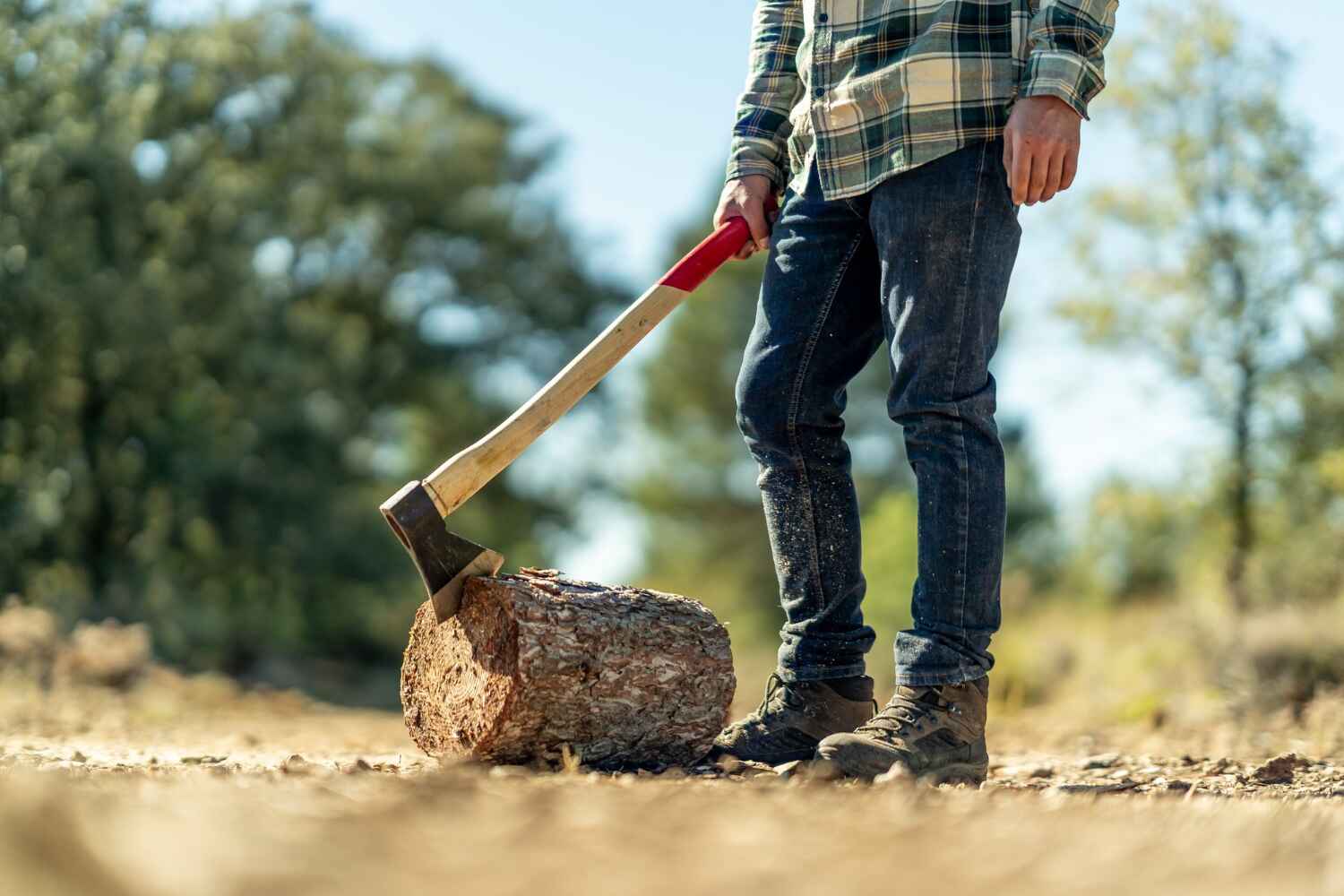 Best Tree Trimming Near Me  in Wamac, IL